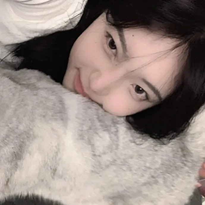 鲨笼潜水